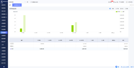 ERP系統(tǒng)在借款利息提取與計算機軟件數(shù)據(jù)處理服務中的應用