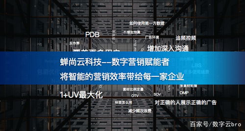 蟬尚云科技與時粹科技 攜手賦能企業(yè)數(shù)字化轉(zhuǎn)型新篇章